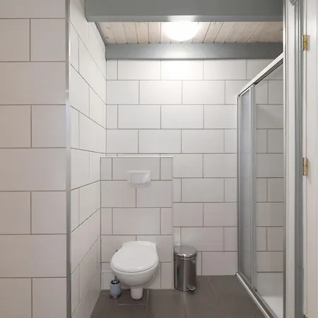 Wildgans 43 * 米罗